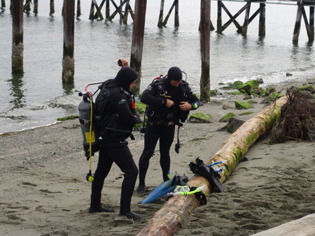 dive buddies 2